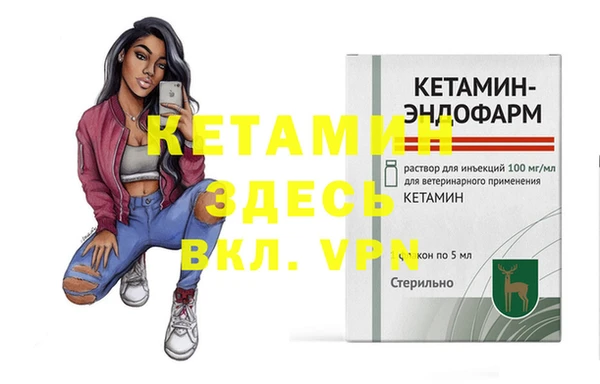 трава Няндома