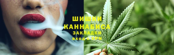 трава Няндома