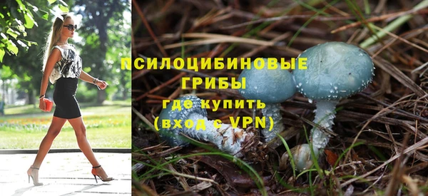 трава Няндома