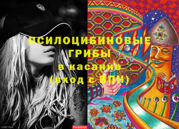трава Няндома