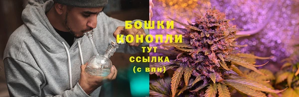 гидра Нягань