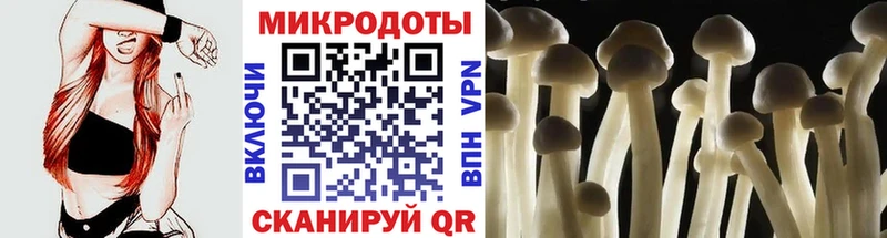 Галлюциногенные грибы Magic Shrooms  Купить где  Суоярви 